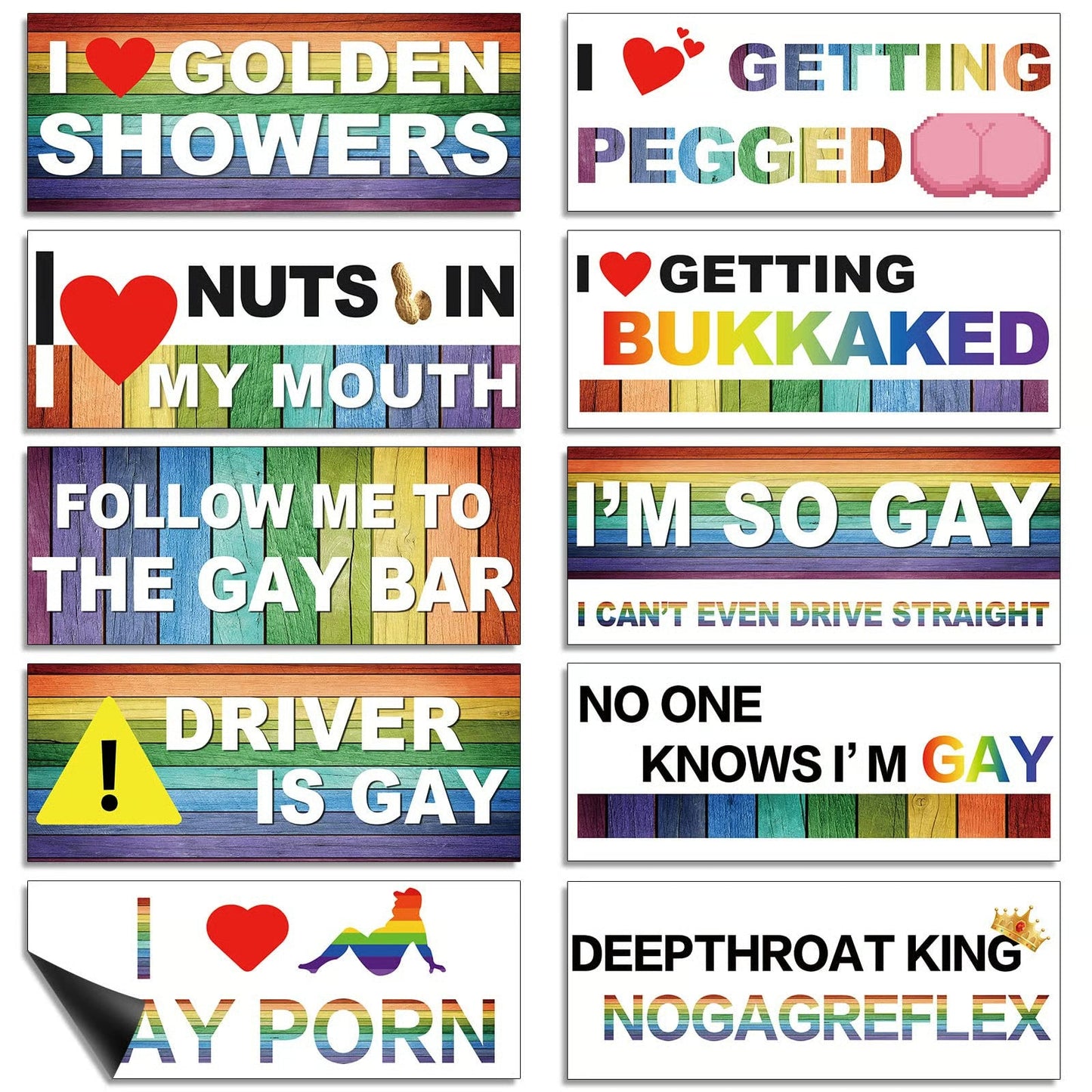 10 Pcs Funny LGBT Magnetic Bumper Stickers