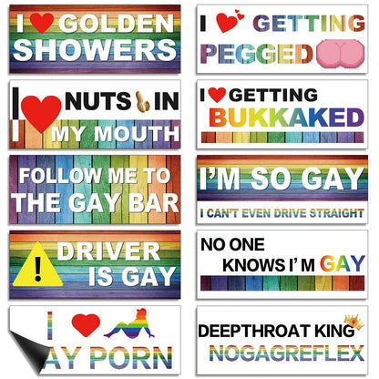 10 Pcs Funny LGBT Magnetic Bumper Stickers